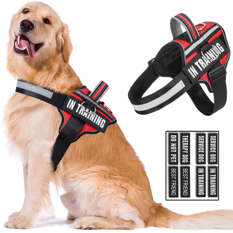 In Training Dog Harness