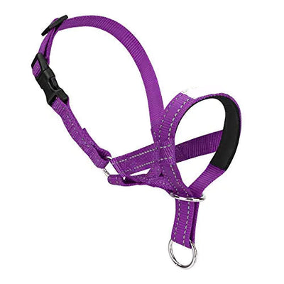 Dog Head Halter