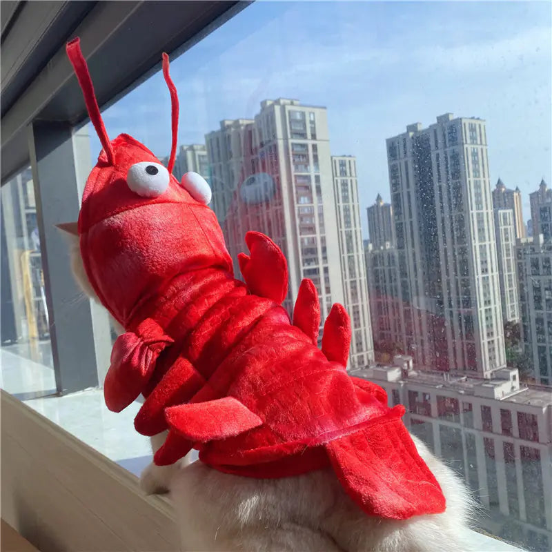 Halloween Cat Lobster