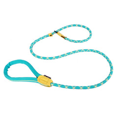 Integrated Collar and Leash for Pets