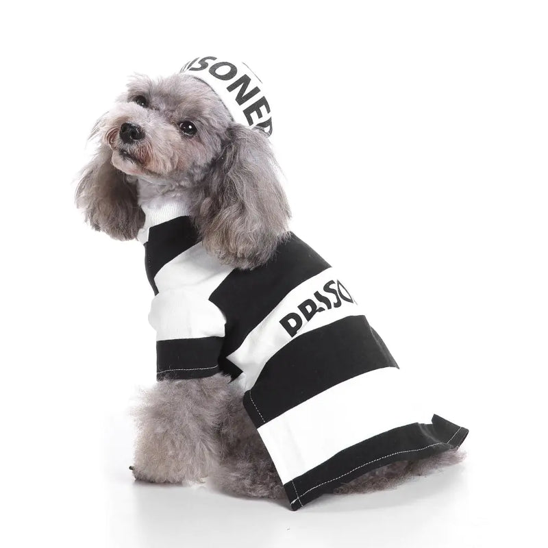 Halloween Prisoner Dog