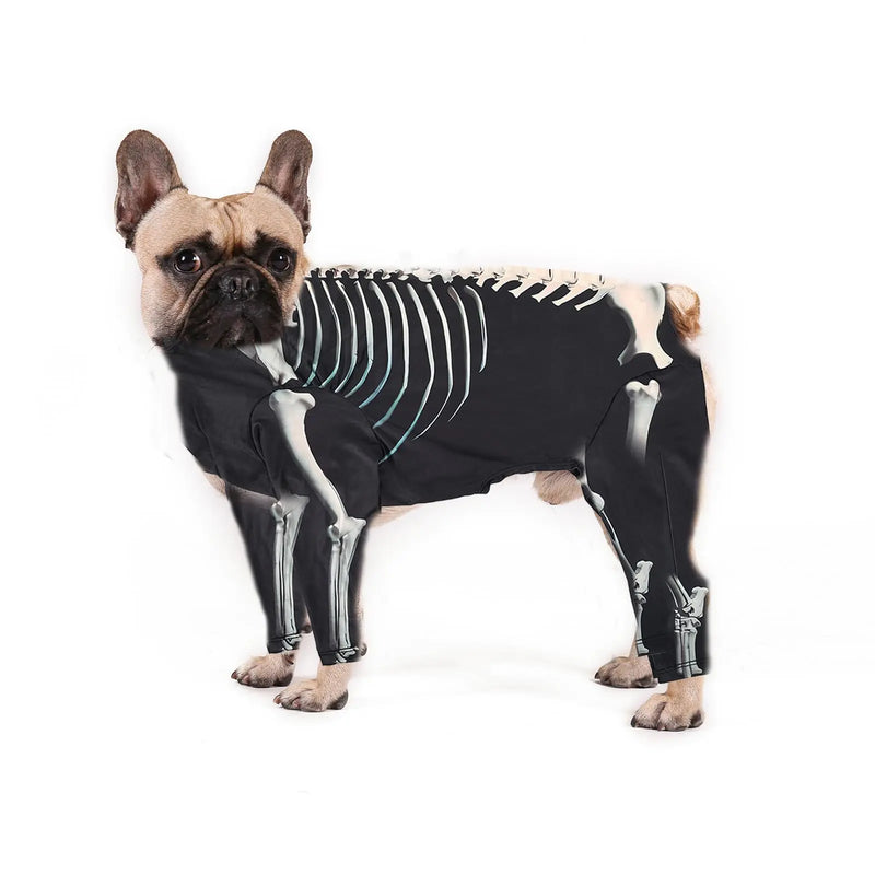 Halloween Skeleton Dog