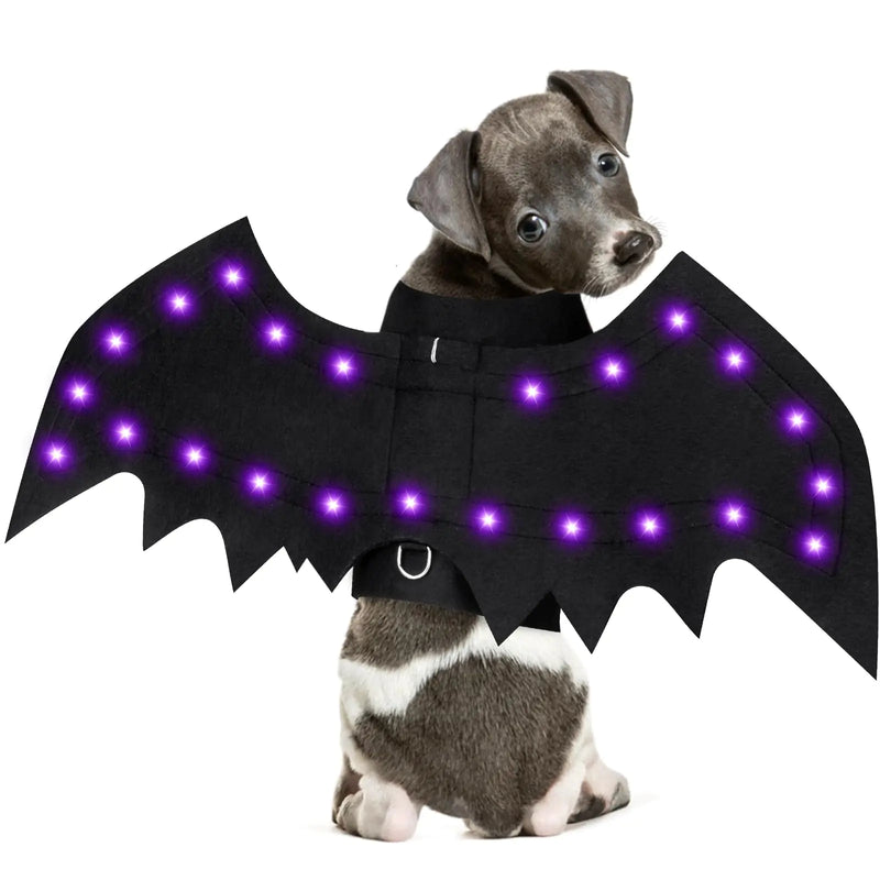 Halloween Dog Bat