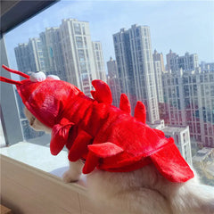 Halloween Cat Lobster