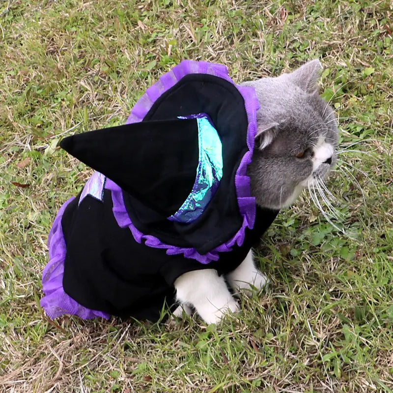Halloween Cat Wizard