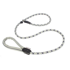 Integrated Collar and Leash for Pets