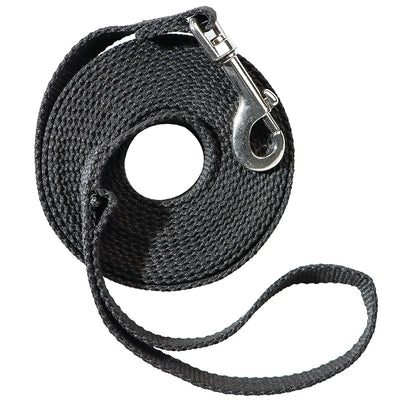Dog Training Leash