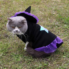 Halloween Cat Wizard